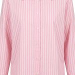 Chemise Enissa rose poudré à rayures verticales, style classique et élégant pour femme.